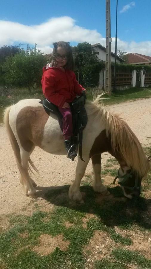 Casa Rural La Casa De Los Pollos Turrubuelo Dış mekan fotoğraf